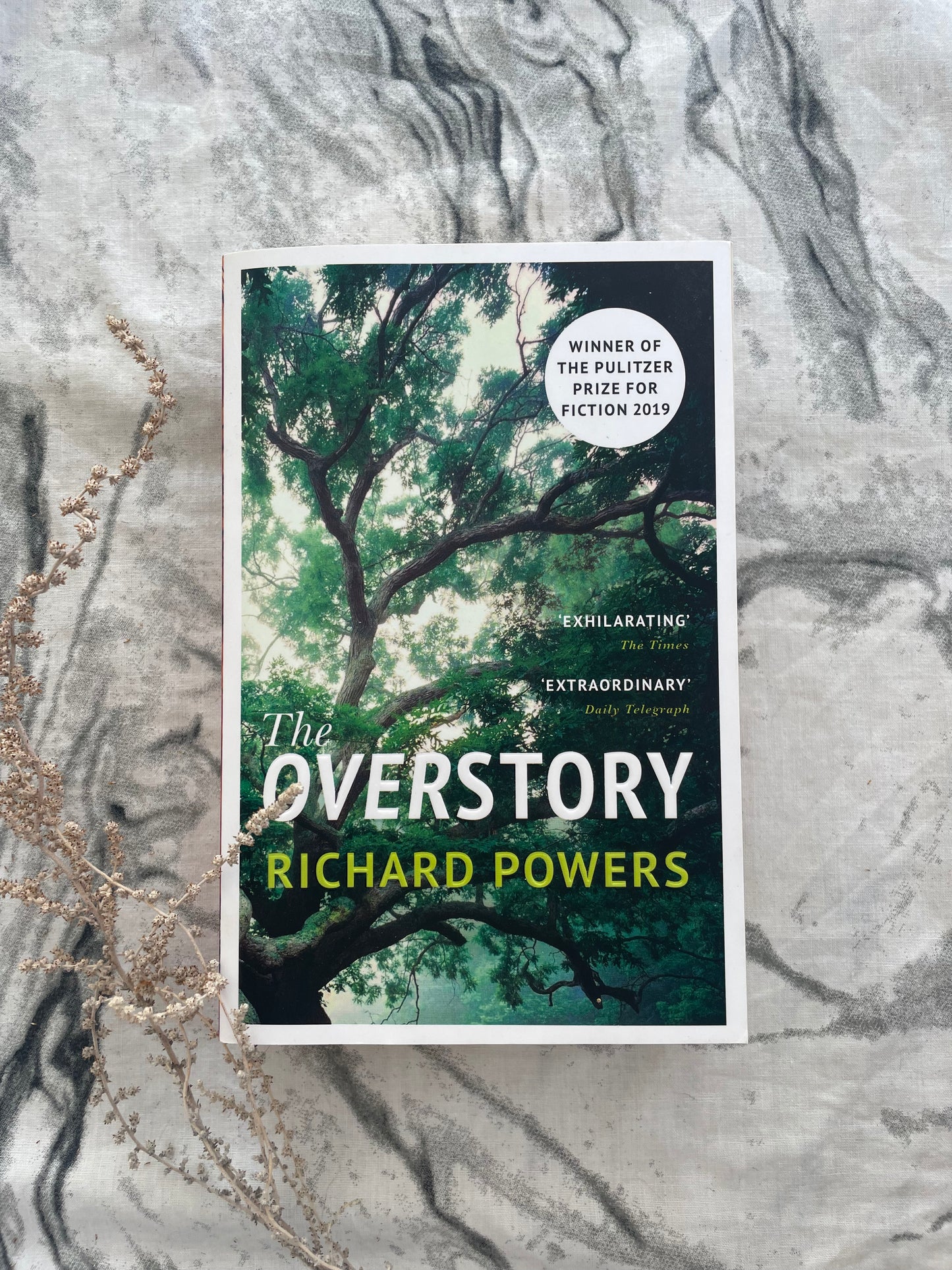 The Overstory